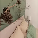 L'ulivo *