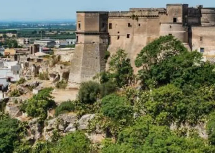 L'ulivo